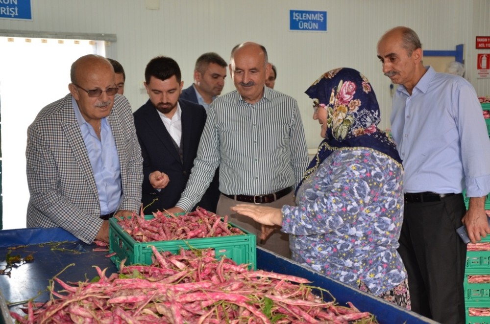 Müezzinoğlu: “İznik Dünyaya Lezzet Dağıtıyor”
