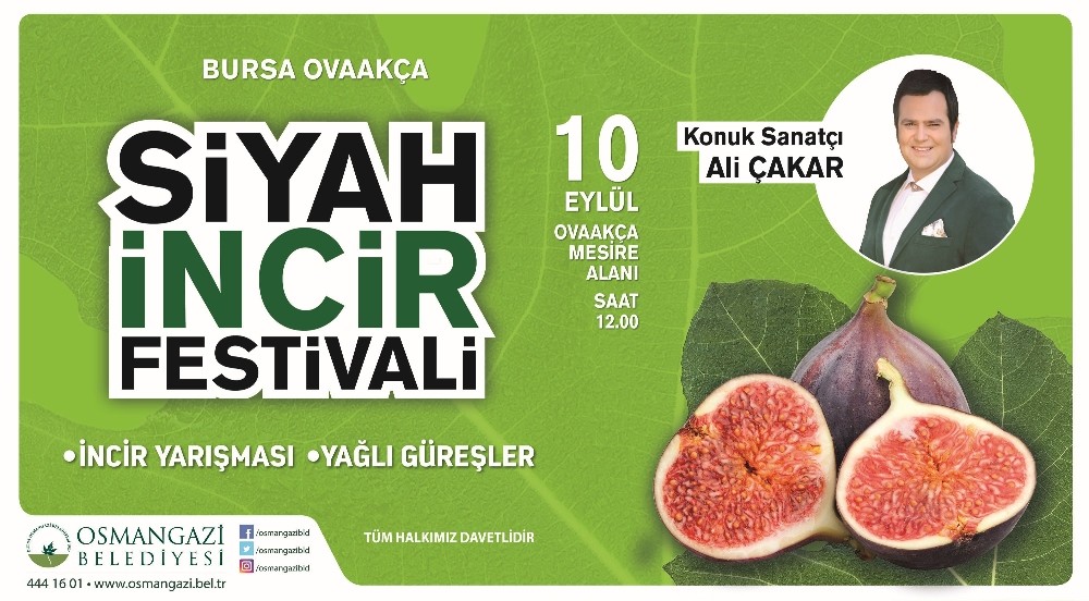 Osmangazide Siyah İncir Festivali