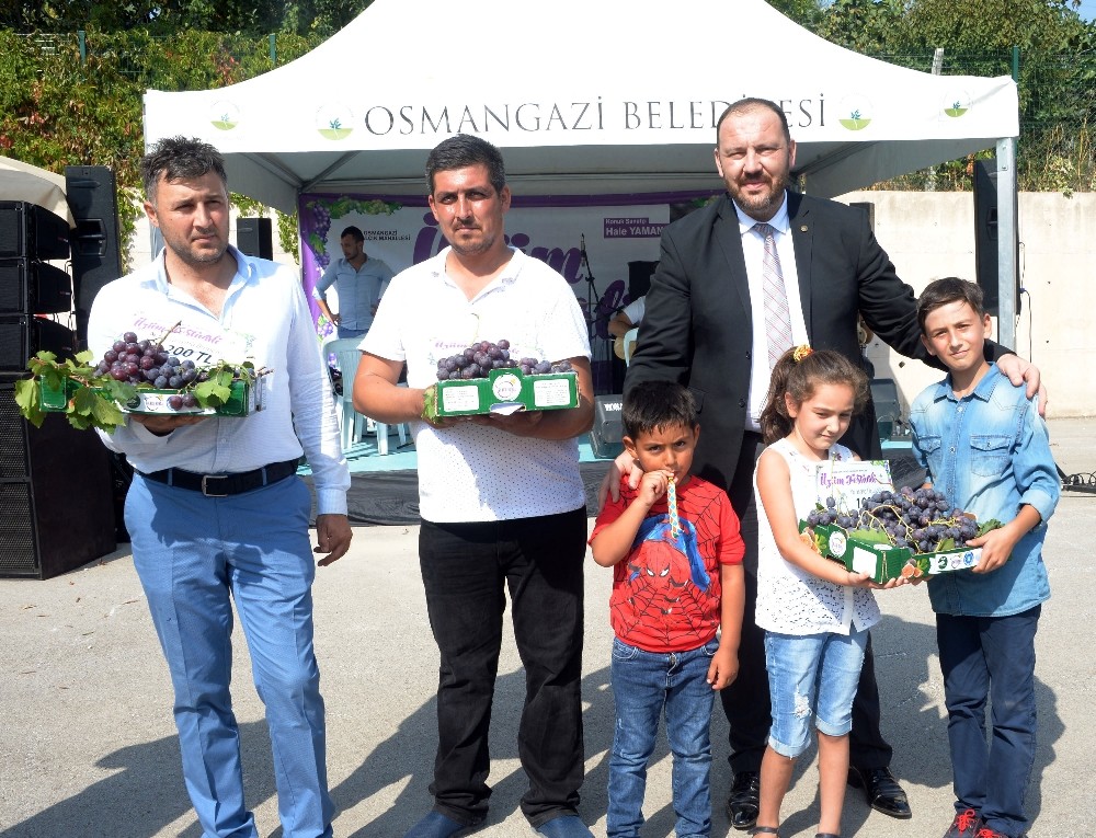 Osmangazide Üzüm Festivali Coşkusu