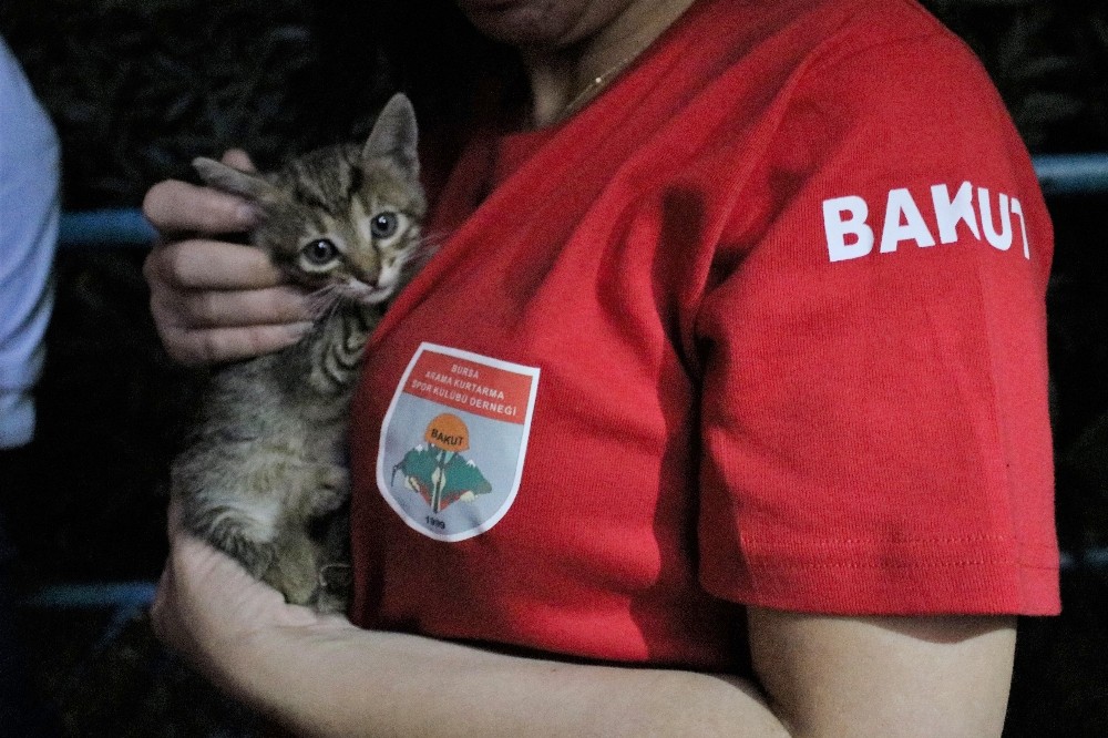 (Özel Haber) Metro İstasyonunda Kedi Kurtarma Operasyonu