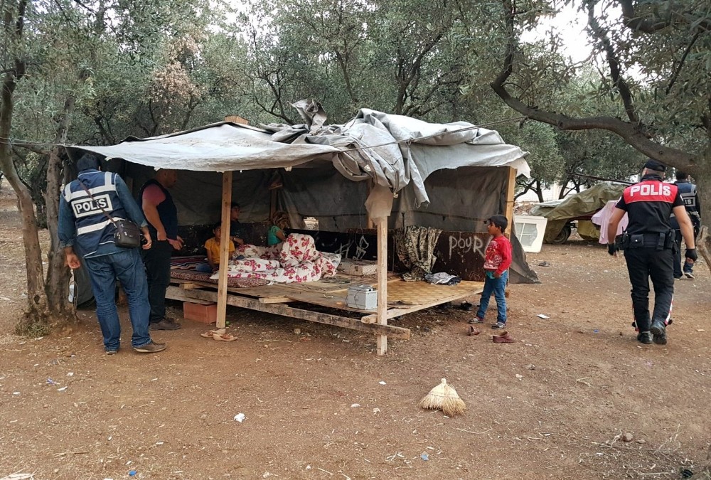 Seher Vakti Çadırda Hırsız Operasyonu