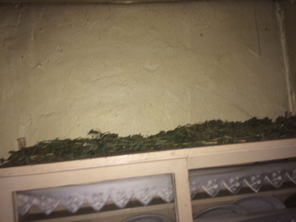 Bursada Çiftlik Evinde Esrar Ele Geçirildi