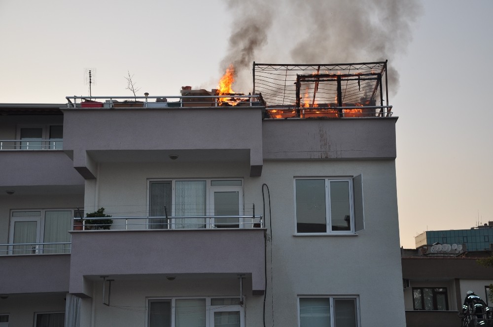 Bursada Çıkan Yangında 50 Bin Liralık Güvercin Telef Oldu