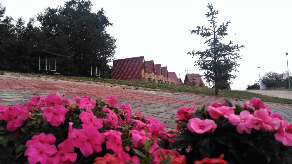 Bursada Sonbahar Güzelliği