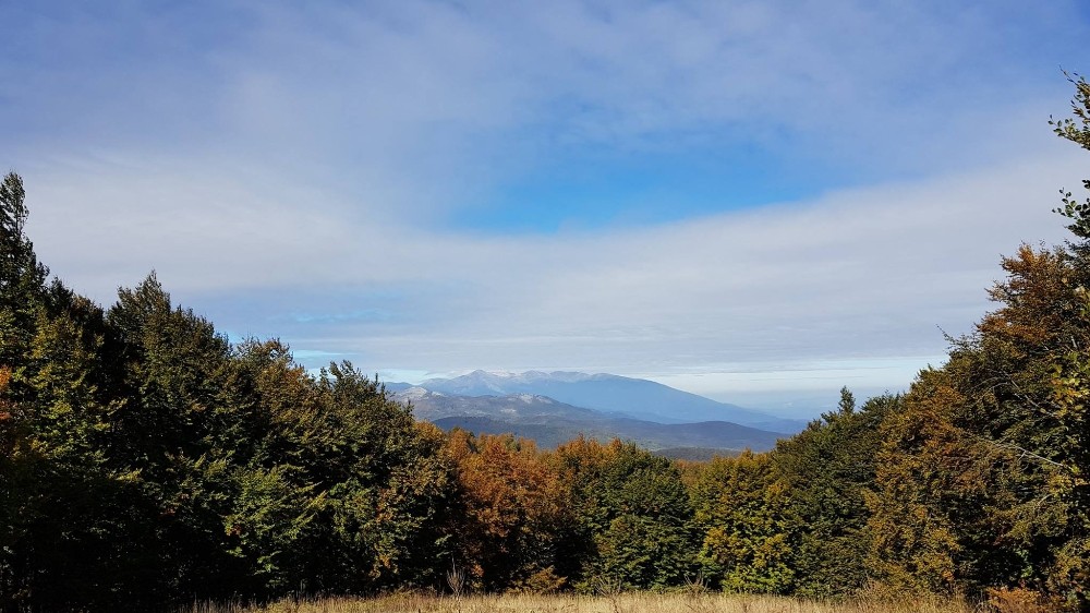 Bursalı Dağcılar Domaniç Ormanlarında