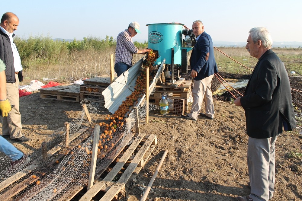Cevizin İçi De, Dışı Da, Suyu Da Kazandırıyor