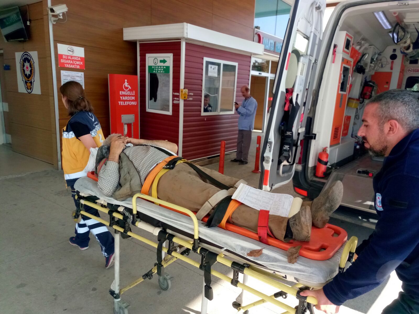 CEVİZ AĞACINDAN DÜŞEN ADAM AĞIR YARALANDI