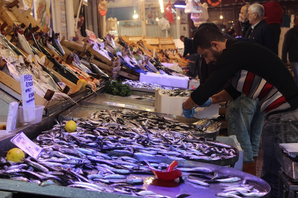 El Yakan Hamsiye Büyük Talep