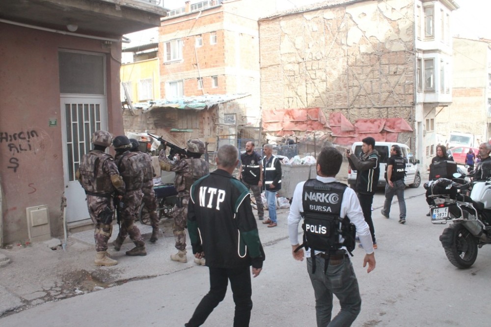 Gemlikte Dev Uyuşturucu Operasyonu