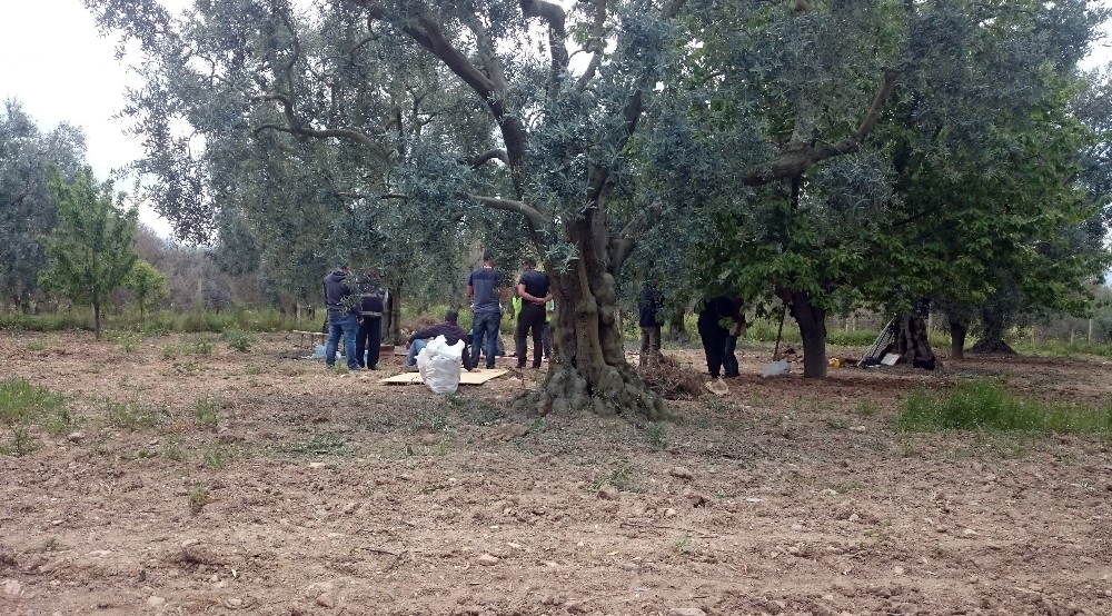 Karacabey Tigemde Kaçak Kazı Yapan 5 Kişi Suçüstü Yakalandı