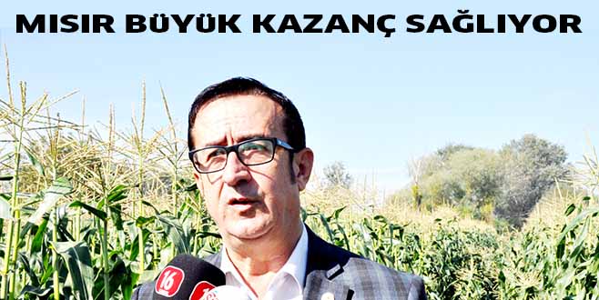 MISIR BüYüK KAZANÇ SAĞLIYOR