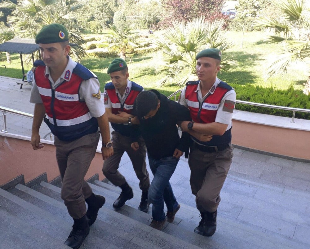 Ormanda Kenevir Yetiştiren Şahıs Yakalandı