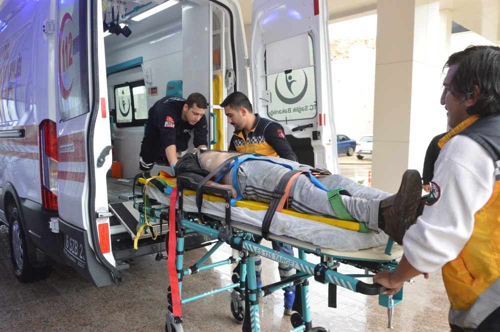 Otoyolda Can Pazarı