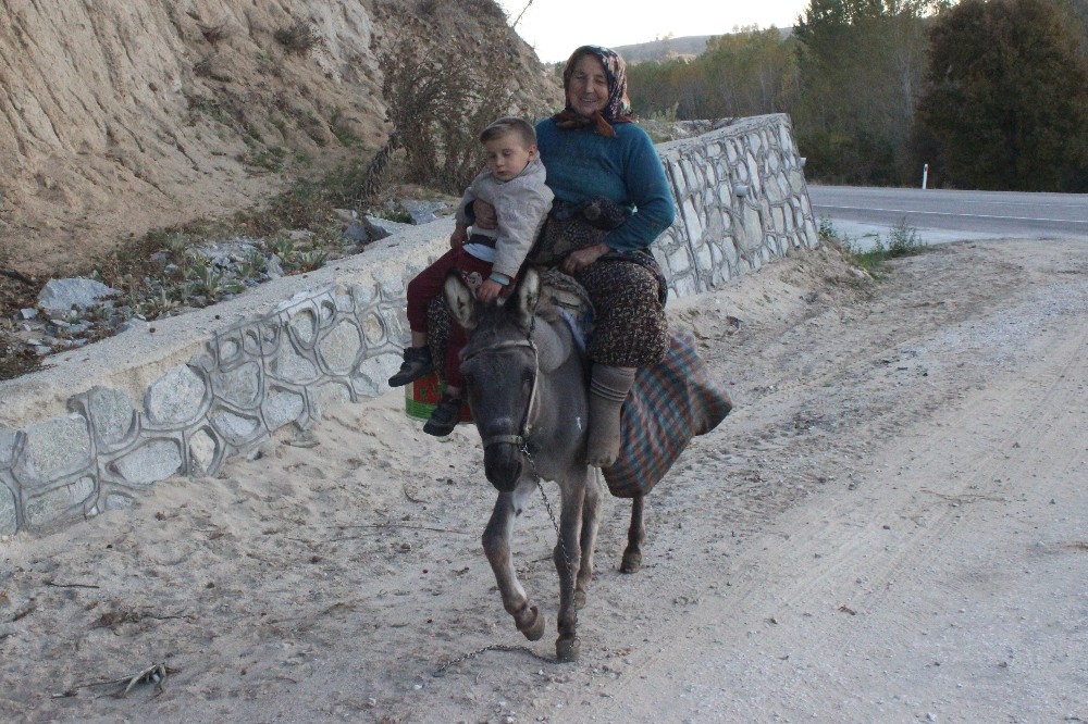 (Özel Haber) Bursanın Bu Köyleri Huzurevine Döndü