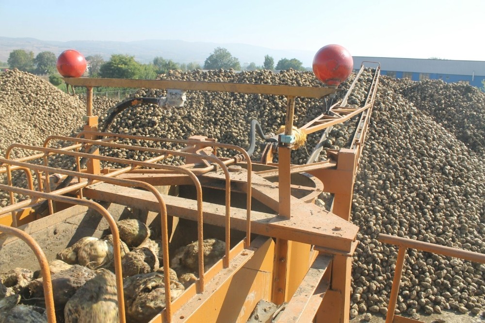 Pancar Yüzleri Güldürdü