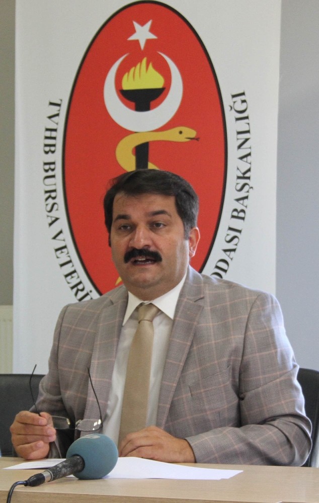 Sağlam: “Yerli Irkları Islah Etmeden Hayvancılığı Geliştiremeyiz”