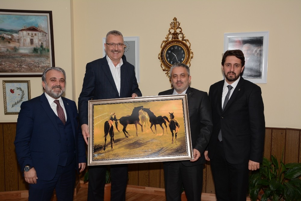 Salmandan Özkana Ziyaret