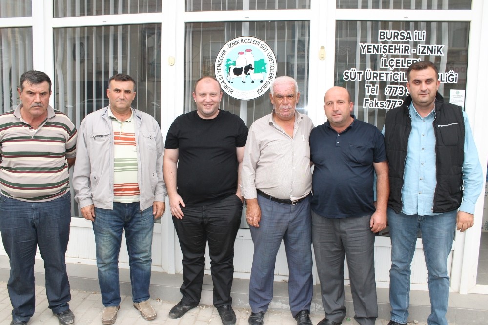 Süt Birliği İthal Hayvan Getirecek