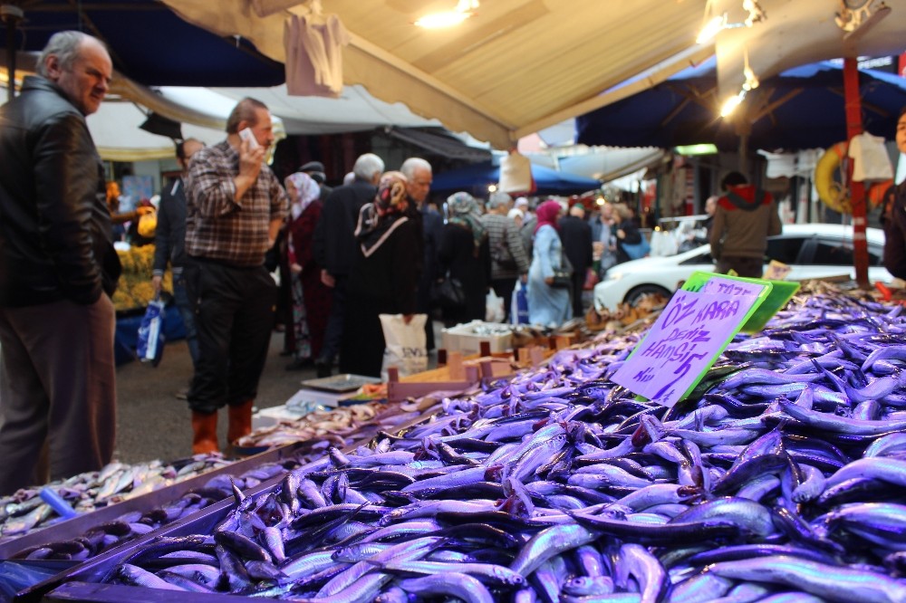 15 Liradan Satılan Hamsi 5 Liraya Düştü