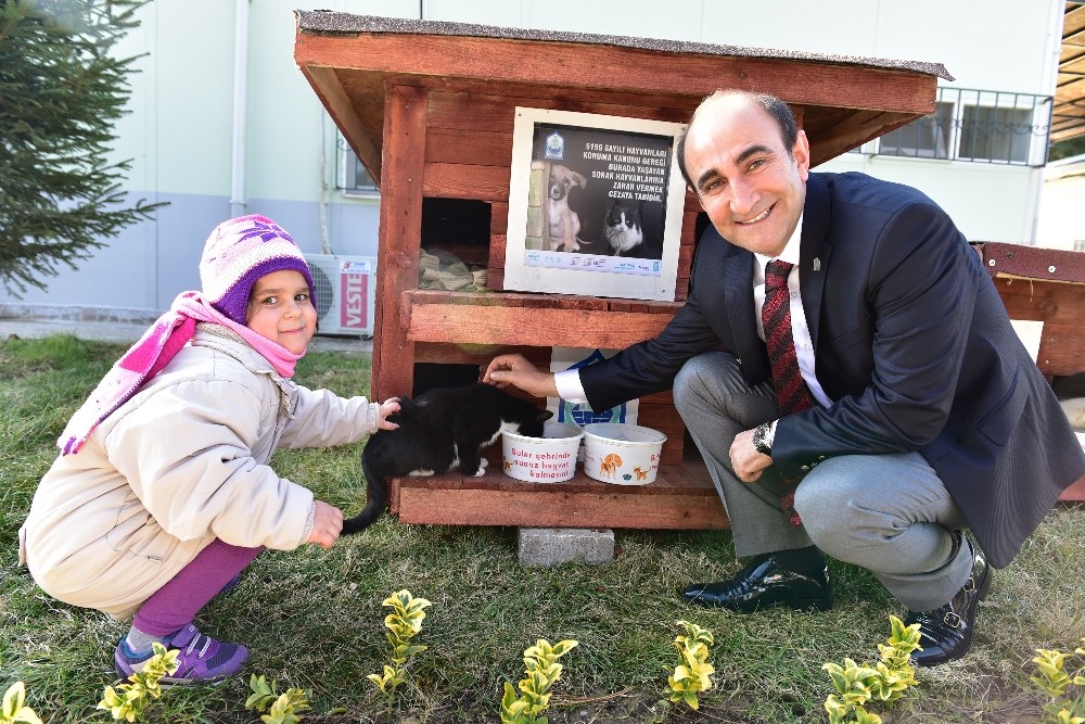 3 Bin 226 Hayvana Sıcak Yuva