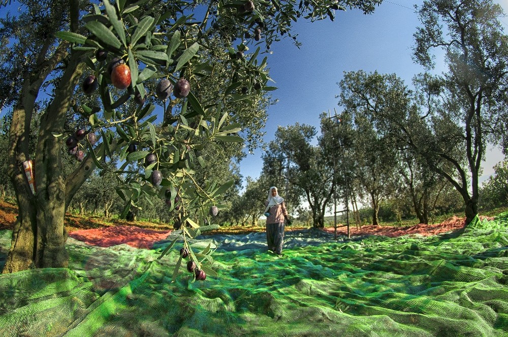 Bursa Her Mevsim Başka Güzel