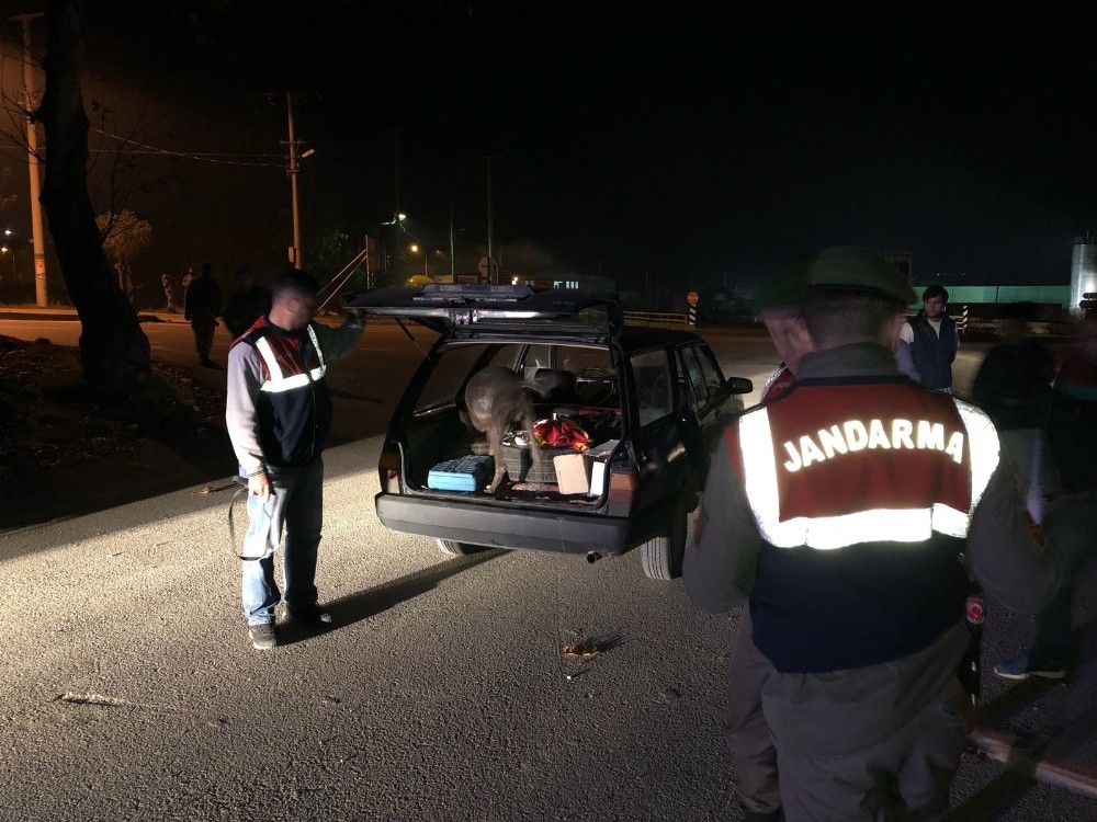 Bursada 5 İlçede Jandarmadan Huzur Operasyonu: 19 Şahıs Yakalandı