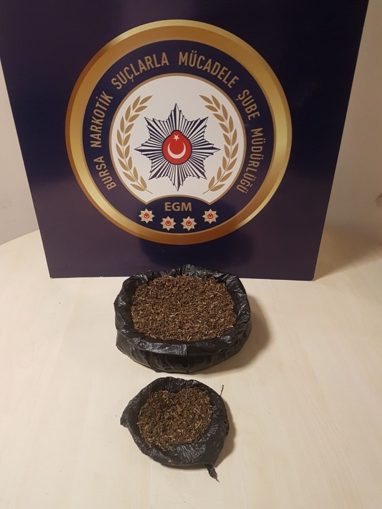 Bursada Uyuşturucu Operasyonu: 4 Gözaltı