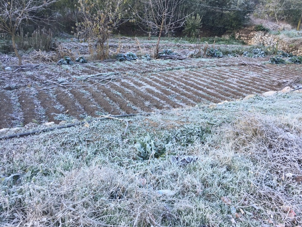 Büyükorhana Kar Yağdı