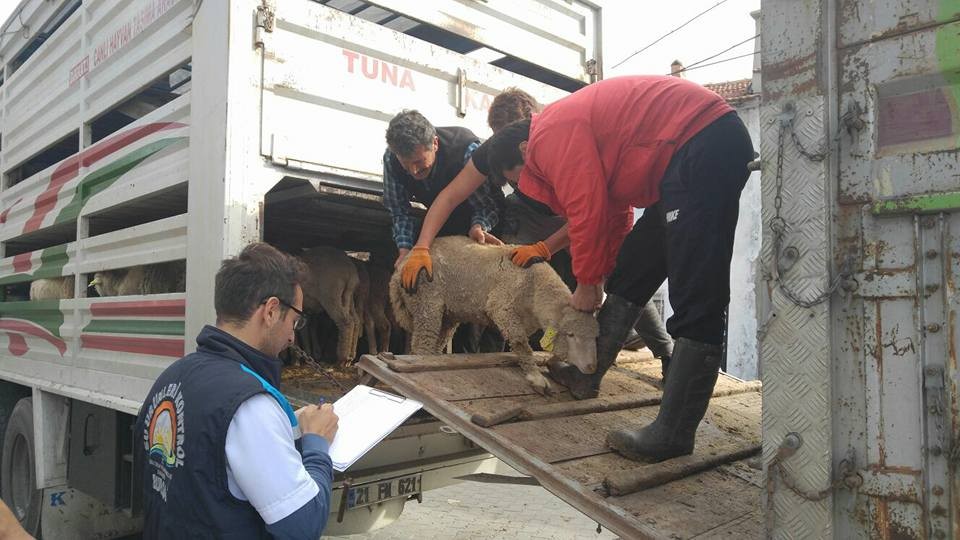 Genç Çiftçiler Köylerine Dönüyor