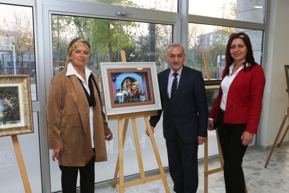Hayvan Sevgisiyle Sanatı Bir Araya Getiren Sergi
