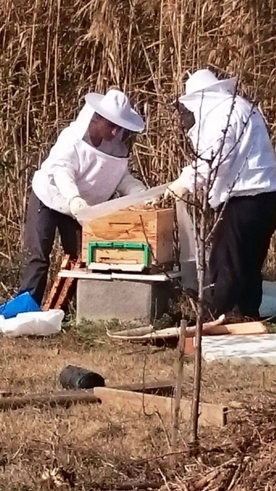 Kent Bostanlarında Çiçek Balı Üretildi