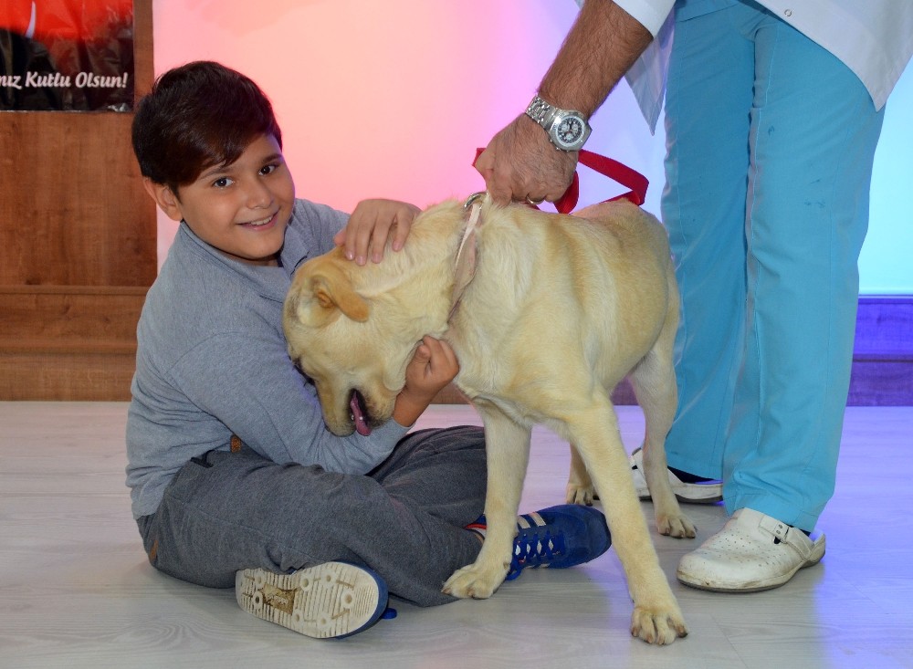 Osmangaziden Öğrencilere Hayvanlarla İletişim Dersi