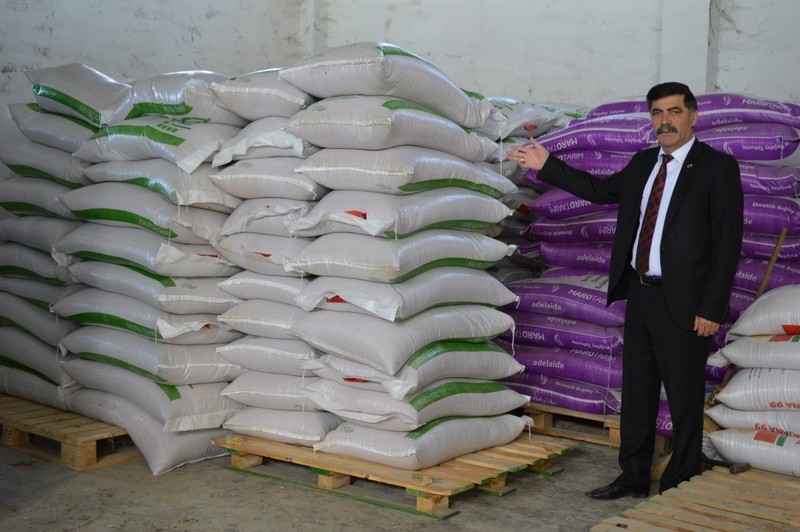 Samana Alternatif Tritikale