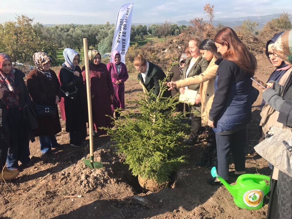 Şehit Öğretmenlerin Adları Fidanlarla Yaşatılacak