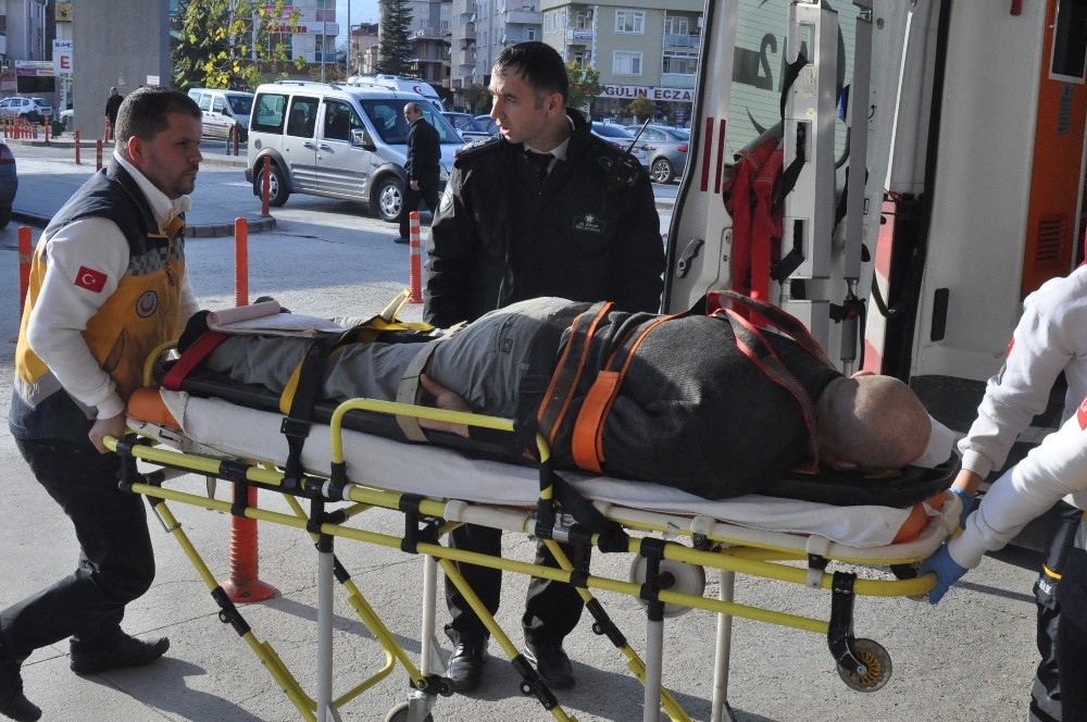 Suntaların Altında Kaldılar