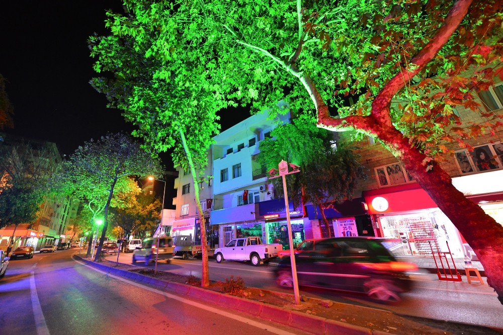 Tayyareci Mehmet Ali Caddesi Işıl Işıl