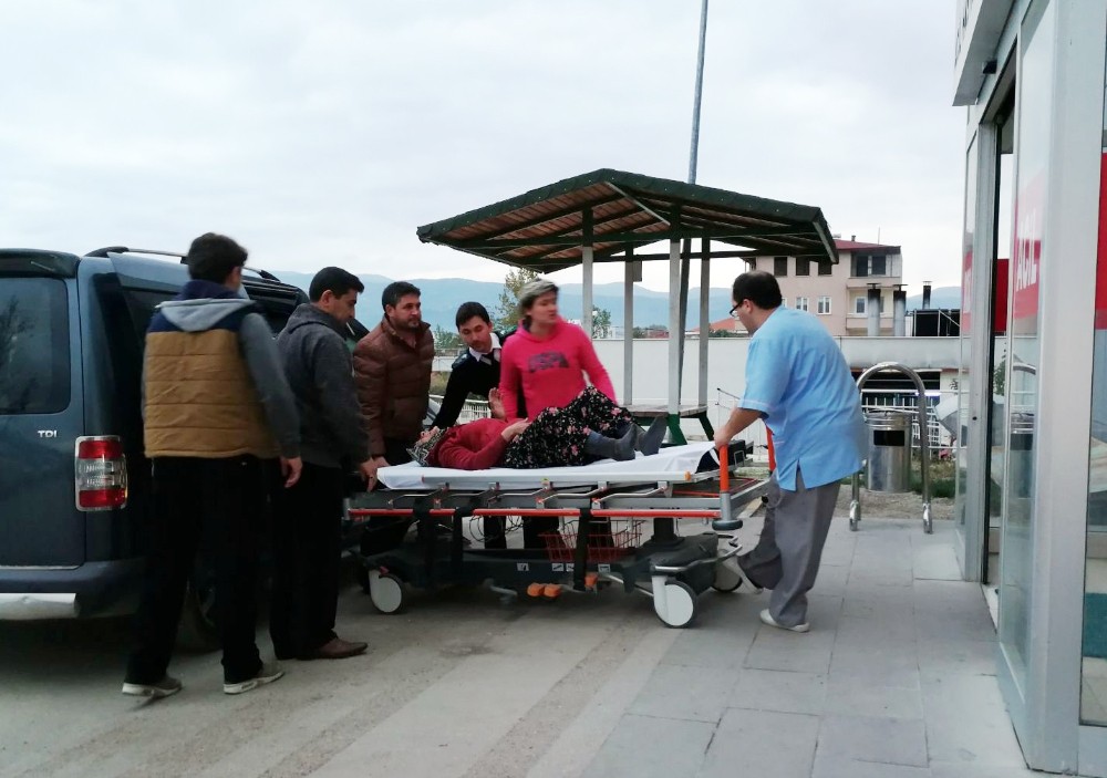 Zeytin Ağacından Düşen 78 Yaşındaki Kadın Kalçasını Kırdı