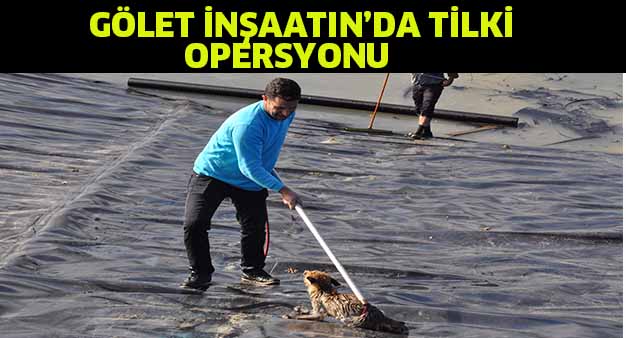 Gölet inşaatında tilki operasyonu