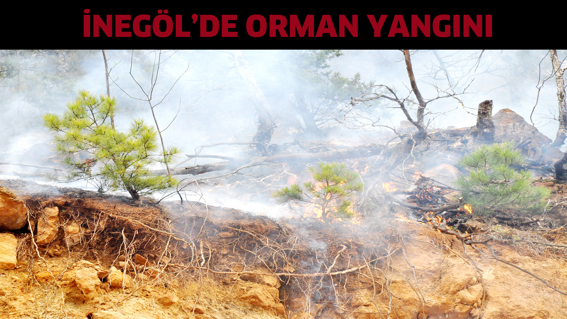 İnegöl’de orman yangını