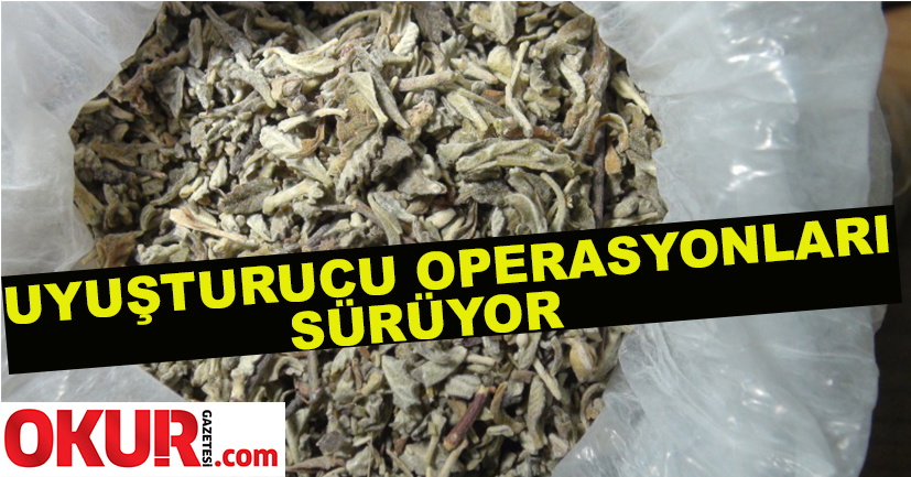 Uyuşturucu operasyonları sürüyor