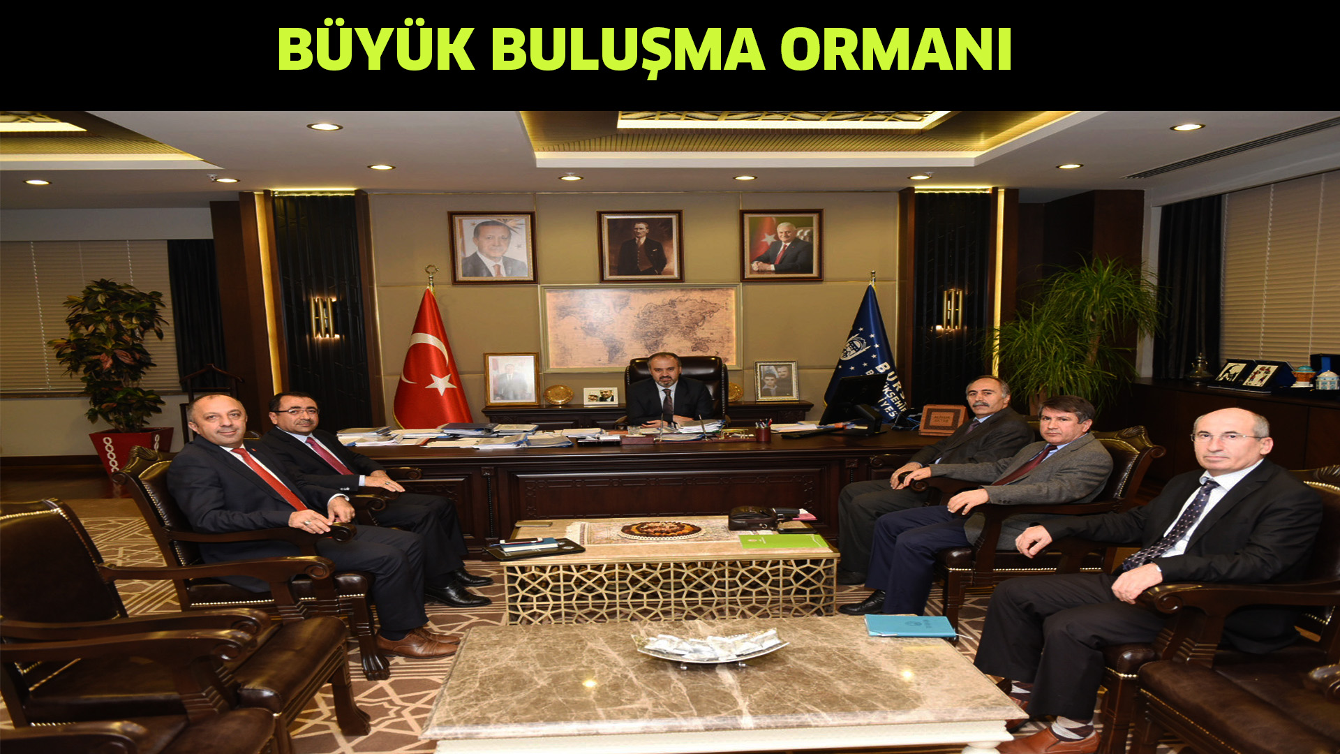 Büyük buluşma ormanı