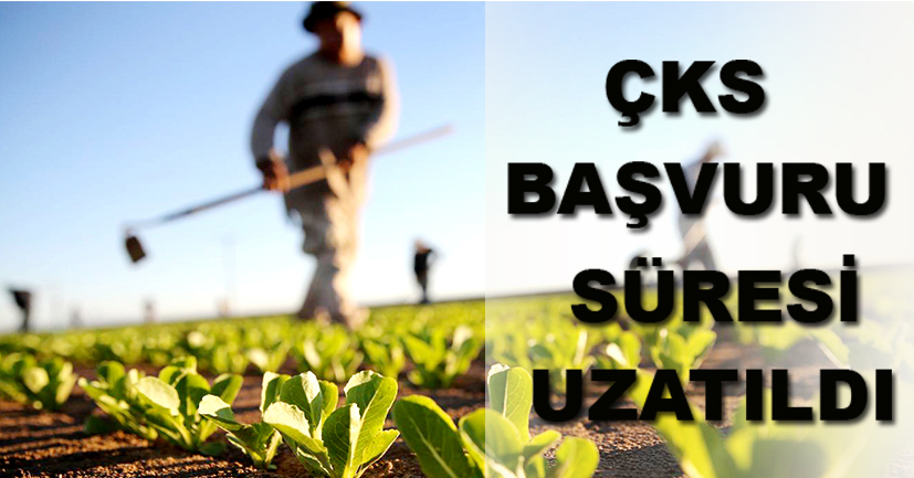 ÇKS Başvuru Süresi Uzatıldı