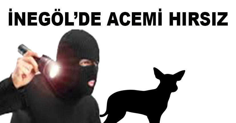 Acemi hırsız serbest kaldı