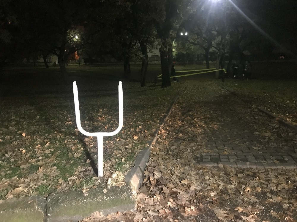 Ağaca Asılı Erkek Cesedi Bulundu