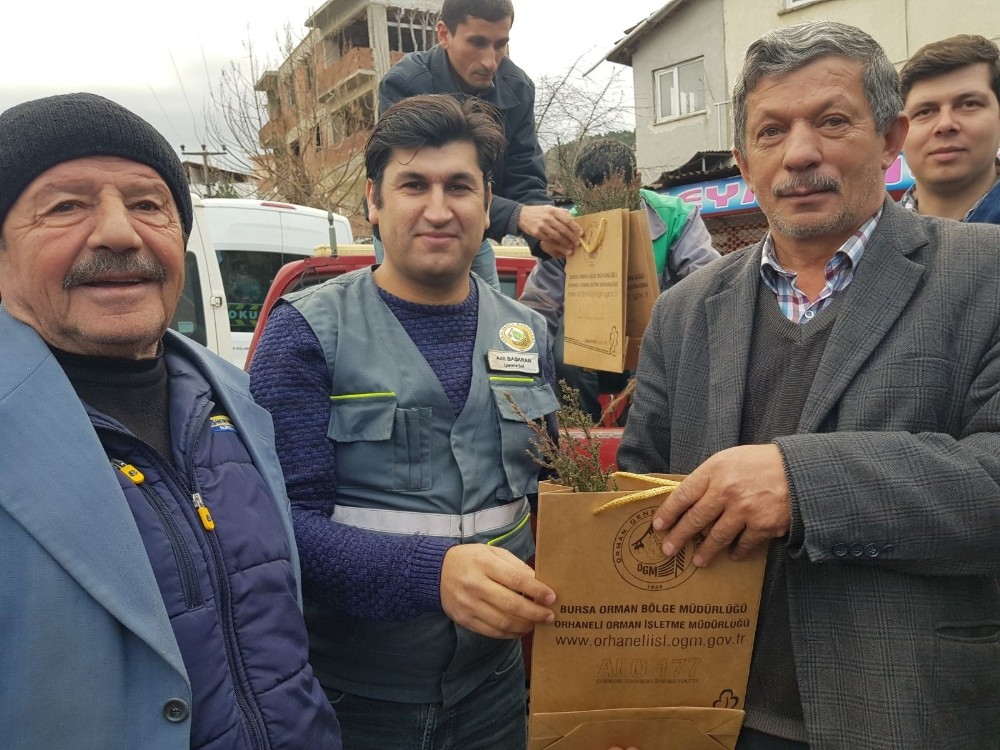 Büyükorhan Yeni Yıla Ağaç Keserek Değil, Fidan Dikerek Giriyor