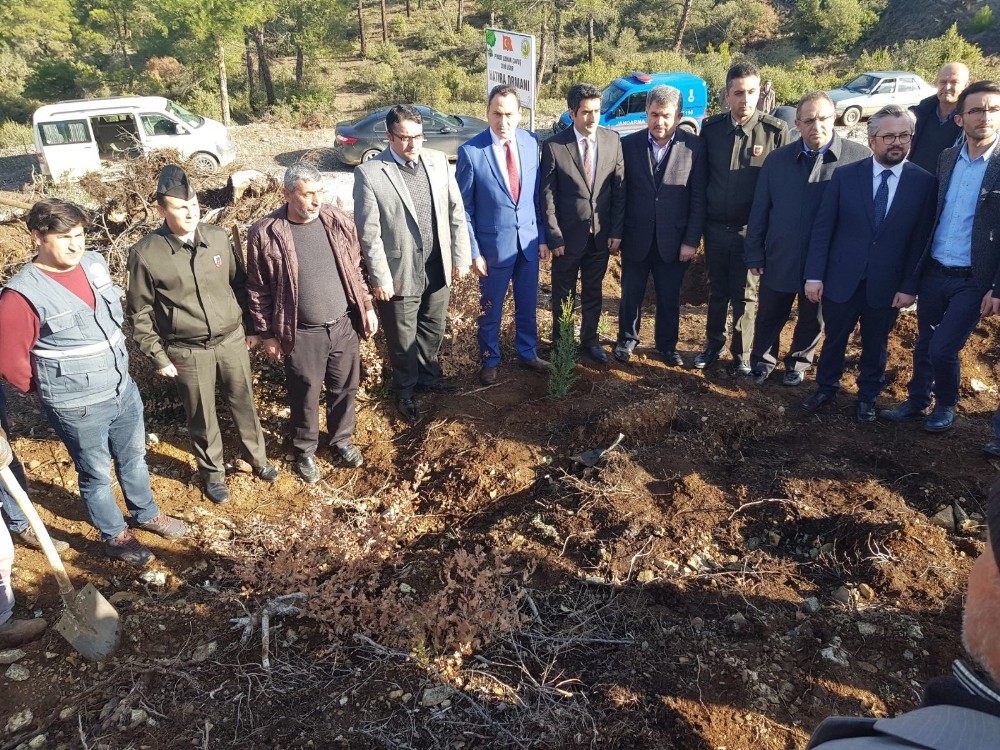 Büyükorhanlı Şehidin Adı Hatıra Ormanında Yaşayacak