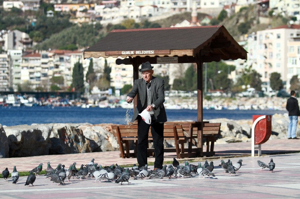 Gemlikin Dönüşüm Kararı İlçe Halkını Sevindirdi