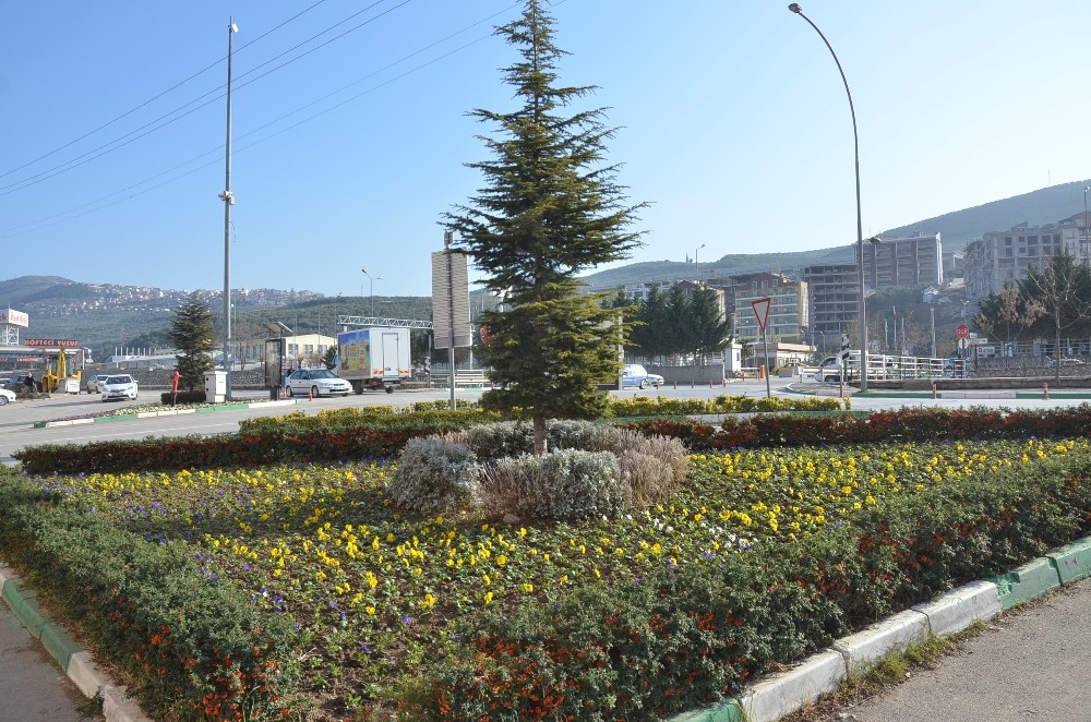 Gemlikte Refüjler Renkleniyor