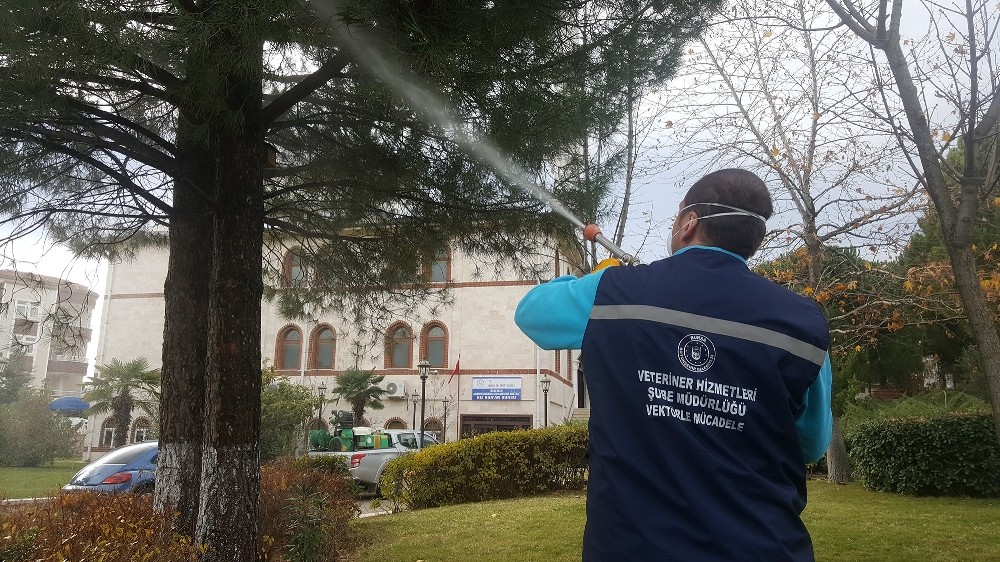 Haşereyle 50 Bin Noktada Mücadele