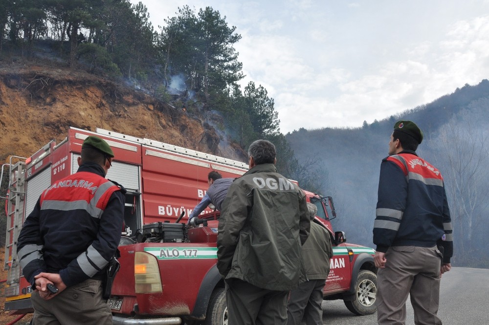 İnegölde Orman Yangını